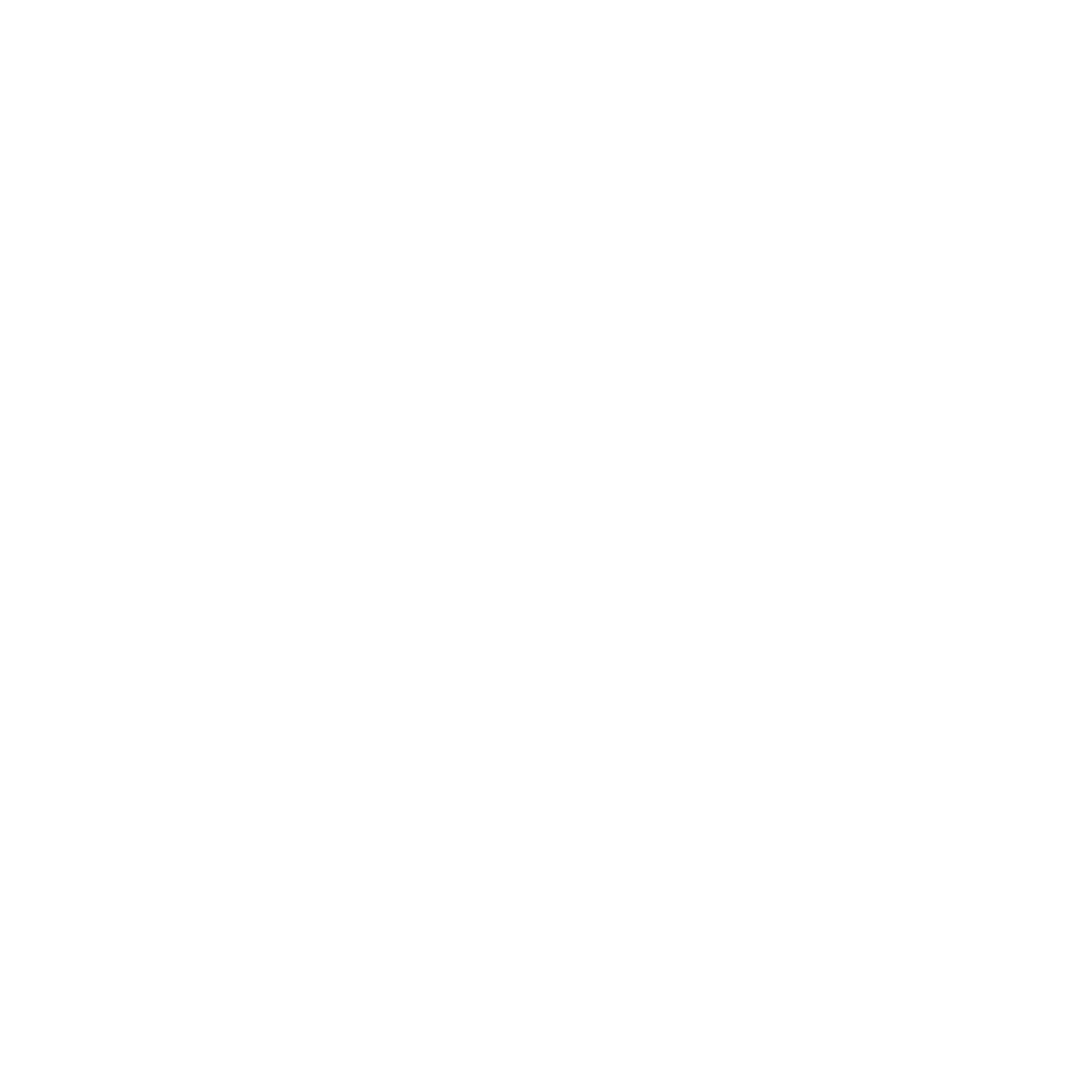 LOGO+WHITEpng.png